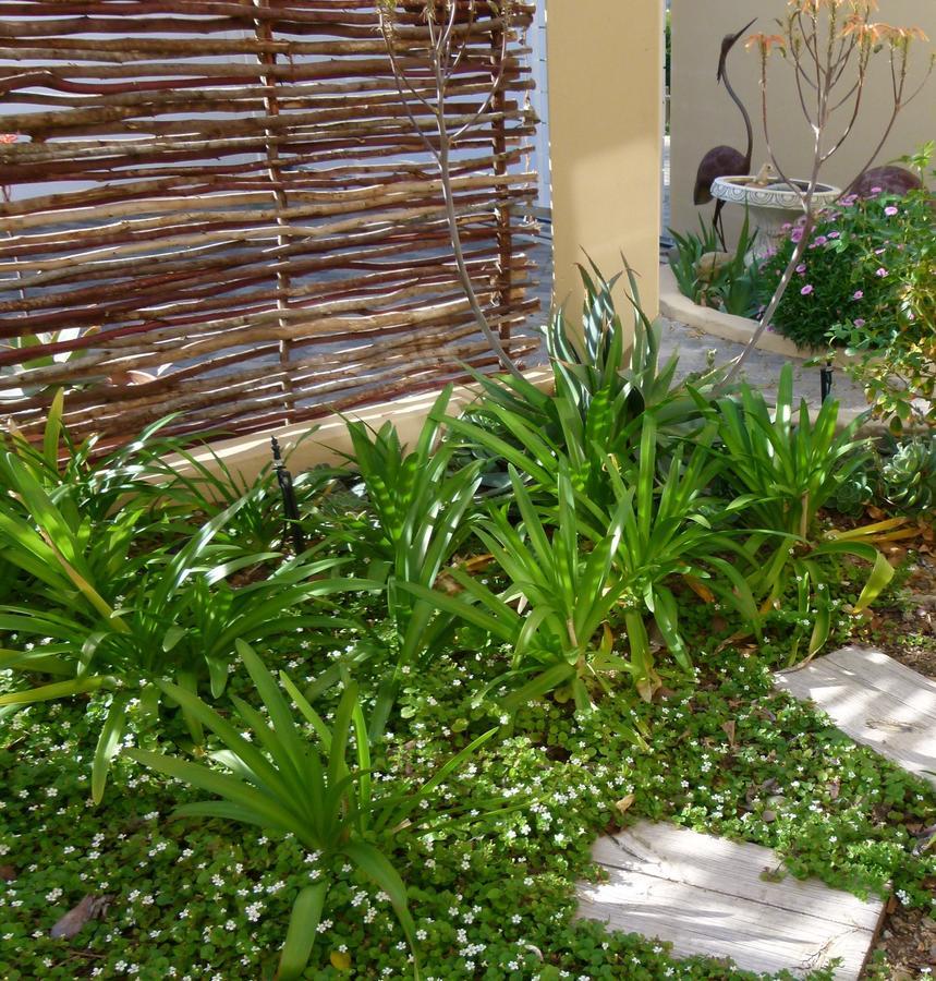 Anchorage Inn Guesthouse Montagu Luaran gambar